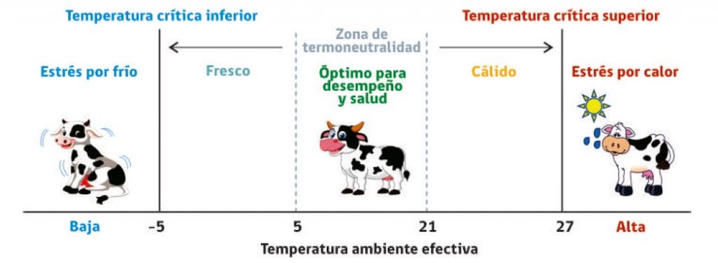 Condición de zona termoneutral en ganado bovino