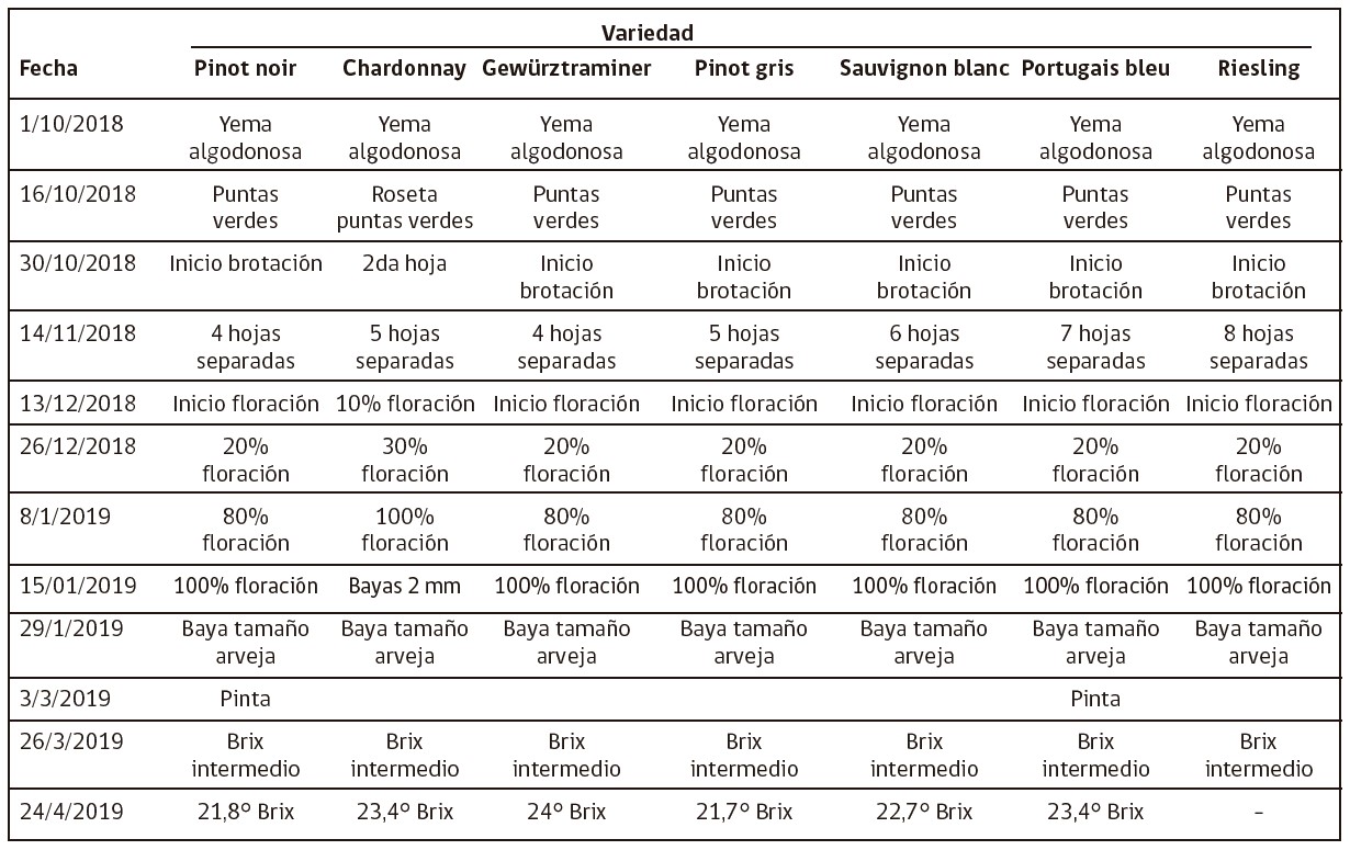Cuadro 2. Estados fenológicos Temp 2018-19