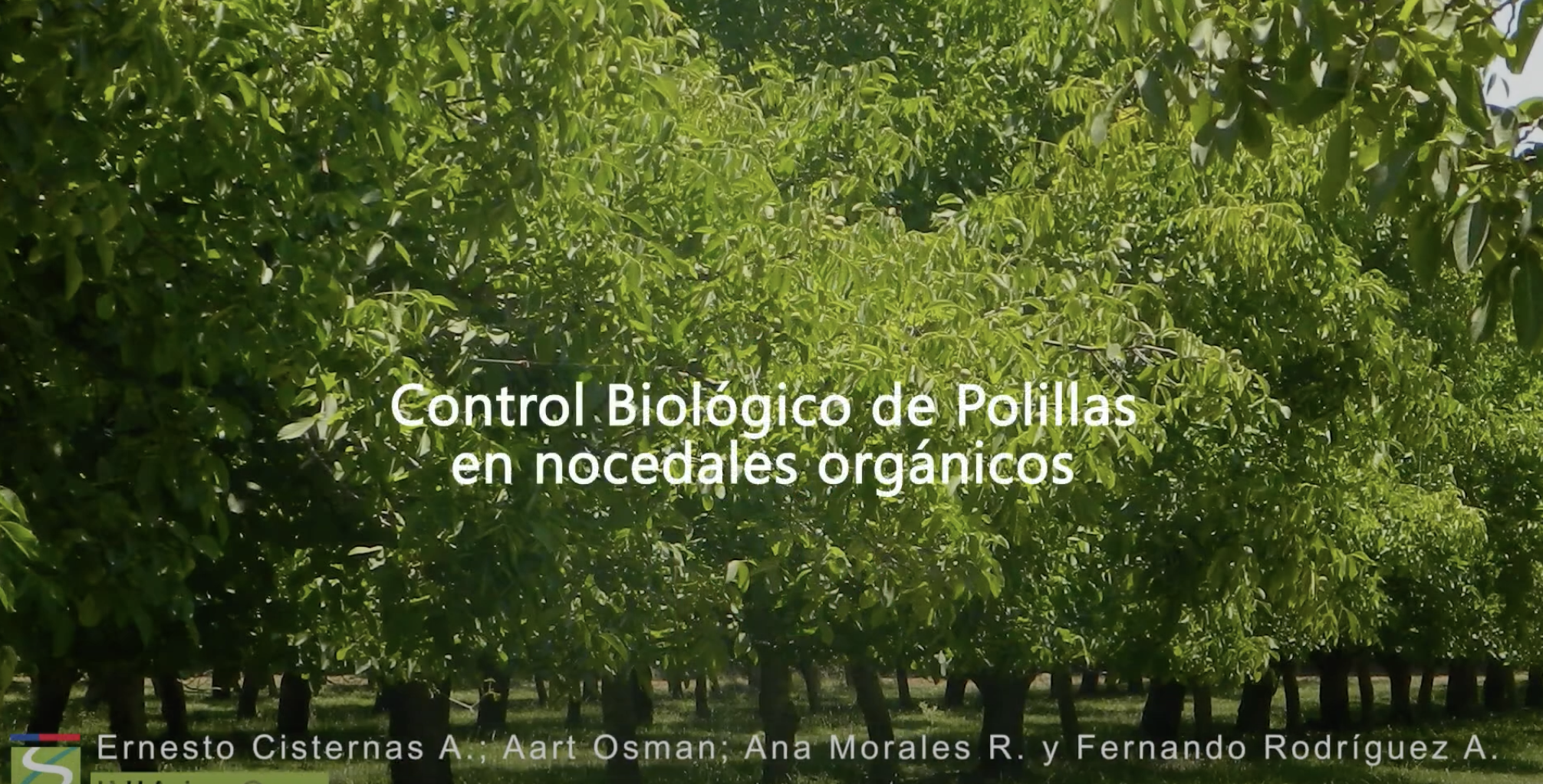 Control biológico de polillas en nocedales orgánicos. Video INIA La Cruz N°40.