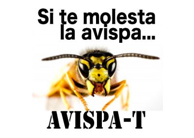 Avispa-T