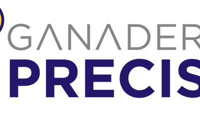 Seminario Bi-Nacional de Ganadería de Precisión INTA – INIA