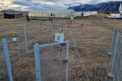 EMA-Puerto-Natales