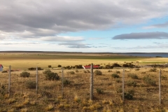 Kampenaike