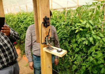 Listos los primeros invernaderos con sensores para monitorear variables climáticas