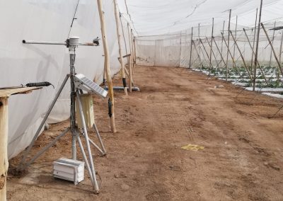 INIA suma primera estación agroclimática bajo malla antiáfidos en Valle de Azapa