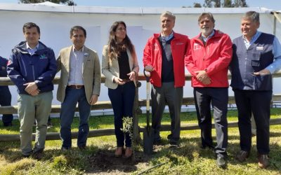 Tecnologías sustentables y cambio climático convocaron a centenares de agricultores maulinos