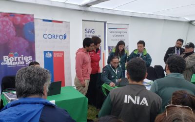 Invitan a frambueseros a inscribirse en registro SAG para la temporada de exportaciones 2019-2020