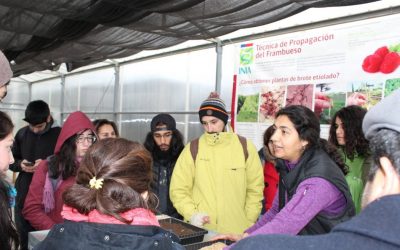 Alumnos de UCM visitaron módulos temáticos de Programa de Extensión Berries Maule