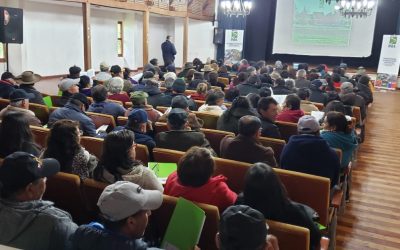 Segunda semana temática de berries también estuvo en terreno