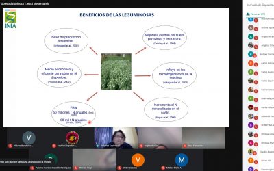 Productores de berries se capacitaron en manejo sostenible de los suelos