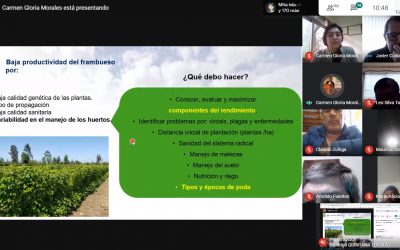 Cerca de 200 productores de berries actualizaron conocimientos sobre poda invernal y control de malezas