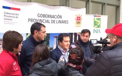 Frambueseros de Maule Sur se capacitaron para mejorar su negocio agrícola