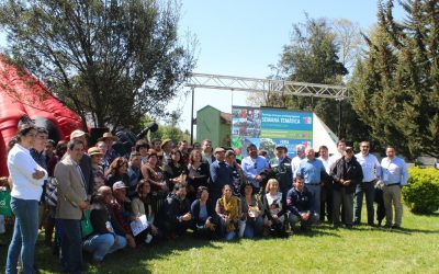 Programa de Extensión de Berries Maule se consolida como plataforma de capacitación y vinculación del sector