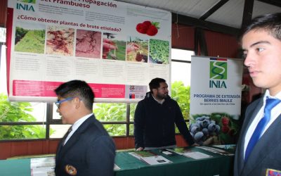Estudiantes de liceos agrícolas de todo el país conocieron Programa de Extensión Berries Maule