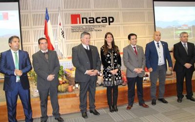 Seremi de Agricultura destacó Programa de Extensión Berries Maule en cuenta pública de gestión Minagri 2018