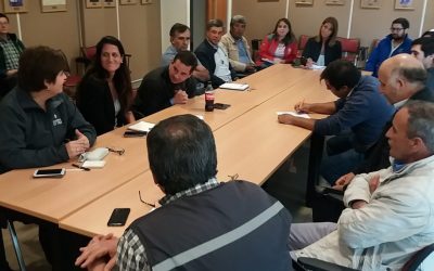 Programa de Extensión de Berries Maule asesorará a productores arandaneros afectados por granizada