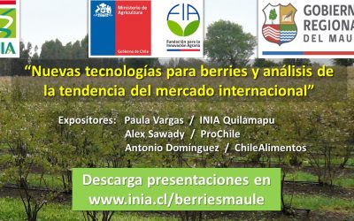 En seminario INIA, expertos explicaron cómo la pandemia ha incidido en el mercado de los berries
