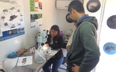 Productores de frambuesas de Linares aprenden a identificar plagas con laboratorio móvil de INIA