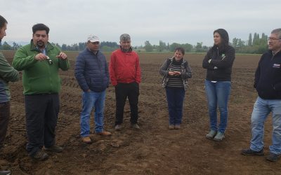 Resaltan importancia de fortalecer metodologías de extensión en agricultura familiar del Maule