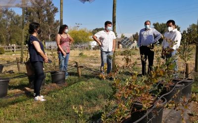 Directivos nacionales de INIA valoraron aportes del Programa de Extensión Berries Maule a la productividad regional
