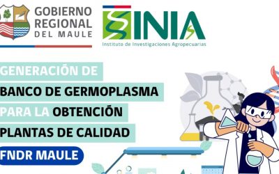 INIA realizará seminario “Berries: Perspectivas del Sector y Avances Tecnológicos” en Centro Experimental Cauquenes