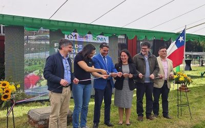 Gobierno del Maule e INIA fortalecen red de innovación tecnológica para productores de berries en la Región del Maule