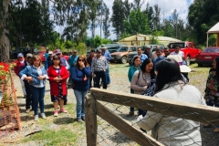 Dia de campo en enfermedades de berries para agricultores de Longaví / Noviembre 2019