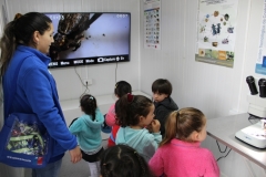 Feria Científica Liceo Técnico Profesional Simón Bolivar – Curicó / Octubre 2019