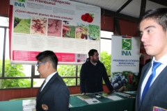emprendimiento-1