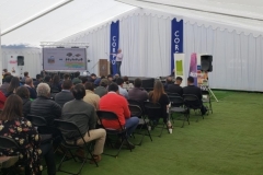 feriaberrieslinares-2