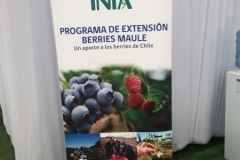 feriaberrieslinares-24