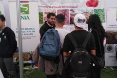 feriaberrieslinares-30