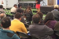 feriaberrieslinares-5