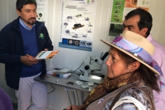 Feria Internacional de Berries Linares Marzo / 2019