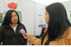 feriaberrieslinares-1