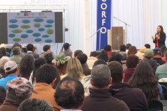 feriaberrieslinares-10