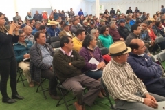 feriaberrieslinares-2