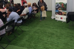 feriaberrieslinares-23