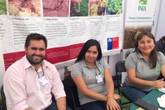 feriaberrieslinares-25
