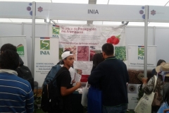 feriaberrieslinares-26