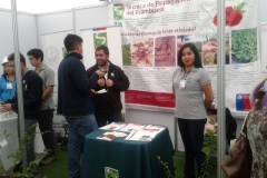 feriaberrieslinares-27