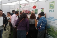 feriaberrieslinares-28