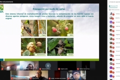 Jornada de Capacitación Calidad de plantas y propagación / Junio 2020
