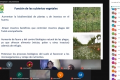 JornadaCapacitacionSostenibilidadSuelo28-julio-9