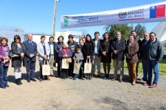 Lanzamiento-Proyecto
