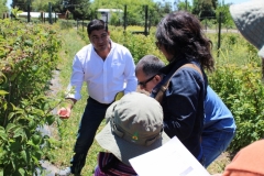 Taller de monitoreo, uso y manejo de plaguicidas para agricultores y asesores técnicos de la Región del Maule (INIA-SAG) / Noviembre 2019