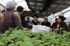  Taller práctico de propagación por brote etiolado de frambueso para agricultores de la Región del Maule / Octubre 2019