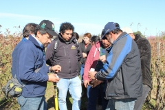 Taller práctico de reconocimiento de plagas Retiro, bajo coordinación de la Mesa Técnica de Granizo / Septiembre 2019