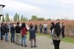 Visita a campo de agricultores de Longaví y Retiro, en marco de proyecto consultaría y seminario de D. Suzukii / Octubre 2019