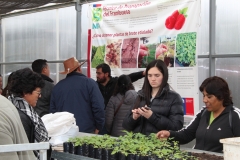 Visita de agricultores de PRODESAL Codegua a Módulo Agro ecológico / Octubre 2019
